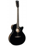 Exotic-SFX Ash (Black Gloss), зображення 1